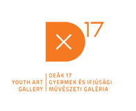 D17 logo